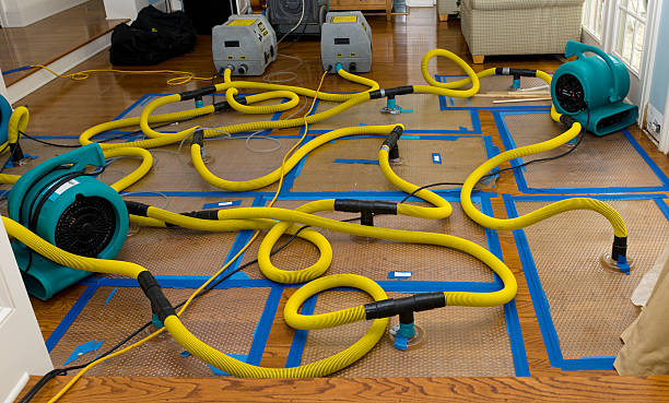Professional Structural Drying And Dehumidification technician working in Red Rock, TX